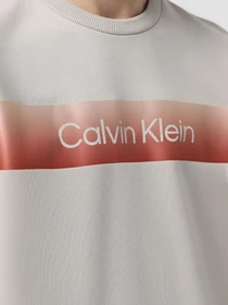 Худі та світшоти Calvin Klein модель K10K114263-PBQ Фото