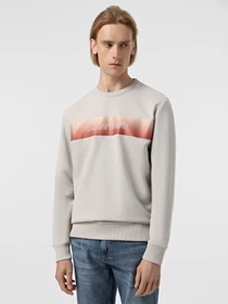 Худи и свитшоты Calvin Klein модель K10K114263-PBQ Фото