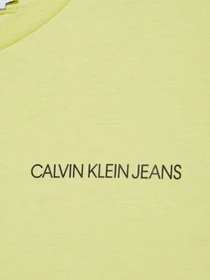Футболки и поло Calvin Klein Chest Logo модель IB0IB00456-ZJB Фото