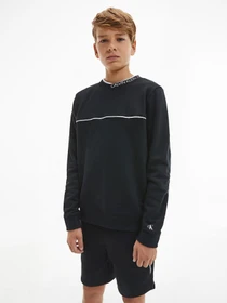 Худи и свитшоты Calvin Klein модель IB0IB00676-BEH Фото