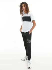 Брюки Calvin Klein Hybrid Logo модель IB0IB00780-BEH Фото
