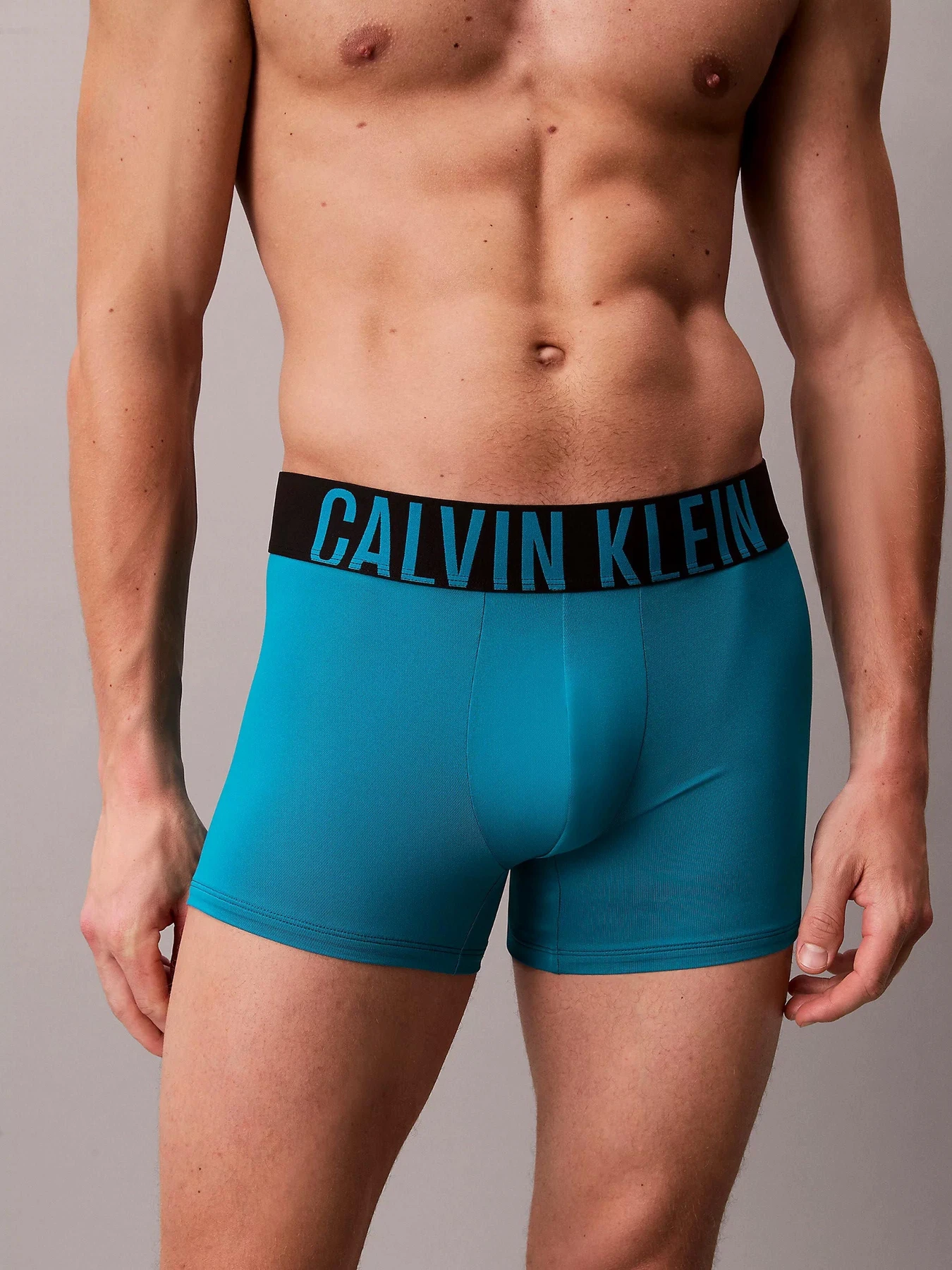 Нижнее белье Calvin Klein Underwear модель 000NB3775A-ZD7 Фото