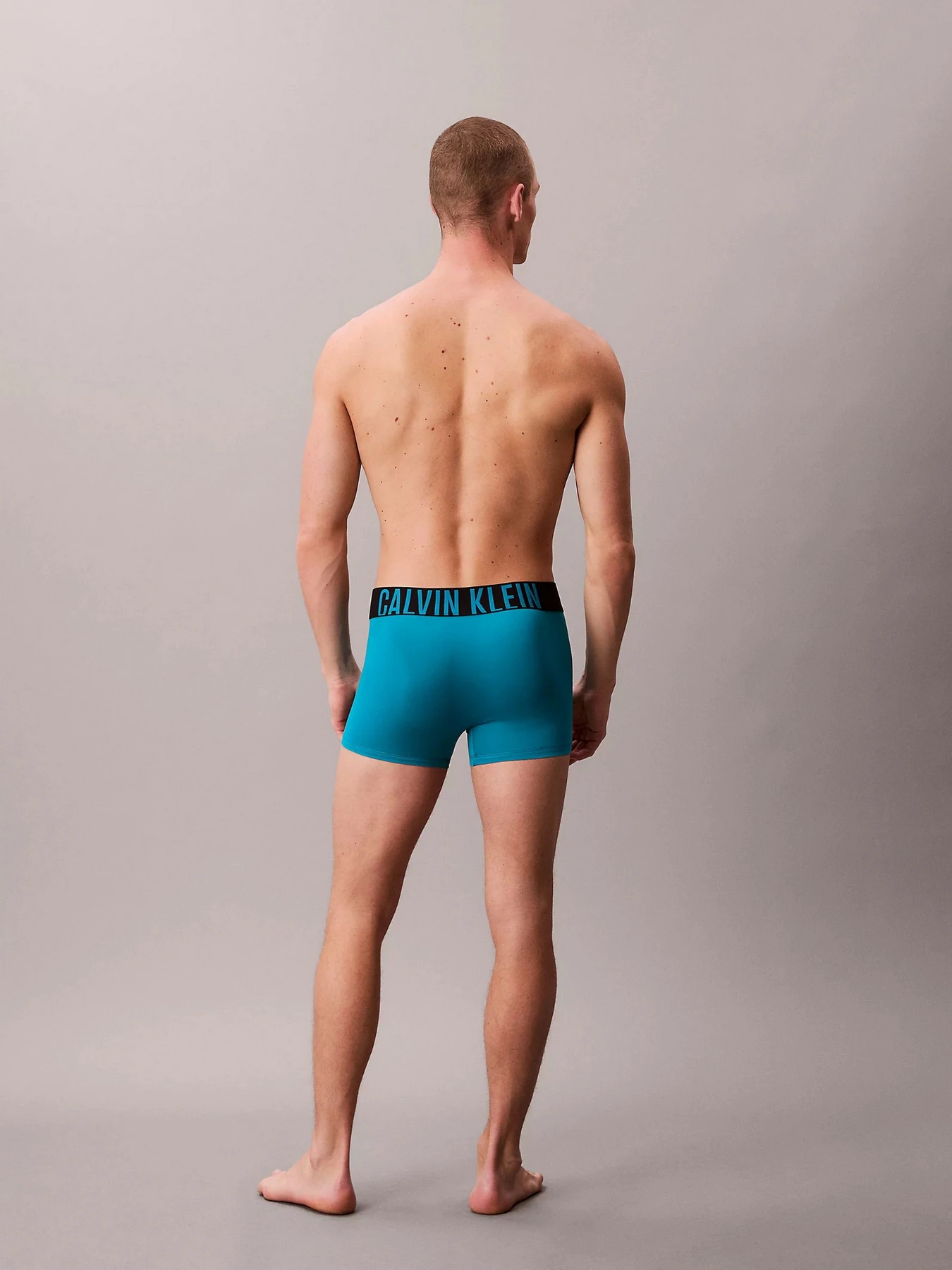 Нижнее белье Calvin Klein Underwear модель 000NB3775A-ZD7 Фото