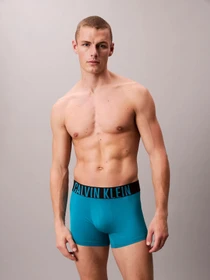 Нижнее белье Calvin Klein Underwear модель 000NB3775A-ZD7 Фото