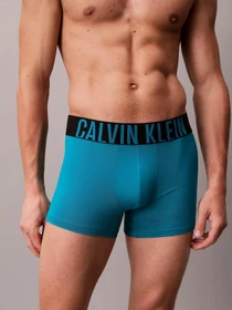 Нижнее белье Calvin Klein Underwear модель 000NB3775A-ZD7 Фото
