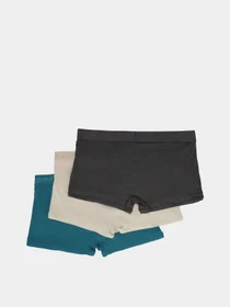 Нижнее белье Calvin Klein Underwear модель LV00NB4192-ZY8 Фото