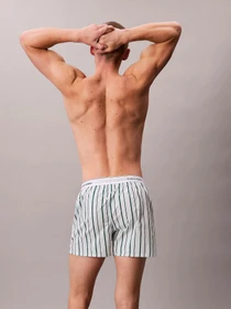 Нижнее белье Calvin Klein Underwear модель LV00NB4267-0AC Фото