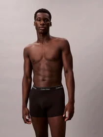 Нижнее белье Calvin Klein Underwear модель LV00NB4286-0FL Фото