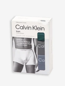 Нижнее белье Calvin Klein Underwear модель LV00NB4286-R90 Фото