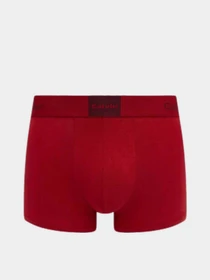Нижнее белье Calvin Klein Underwear модель LV00NB4476-3U4 Фото