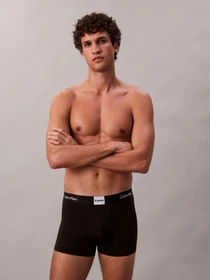Нижнее белье Calvin Klein Underwear модель LV00NB4476-UB1 Фото
