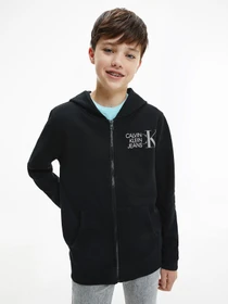 Худи и свитшоты Calvin Klein Hybrid Logo Zip модель IB0IB00800-BEH Фото