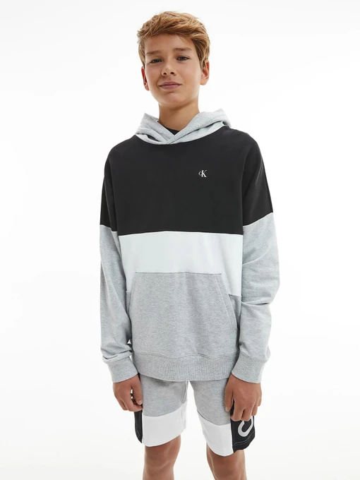 Худи и свитшоты Calvin Klein Colour Block Logo модель IB0IB00807-PZ2 Фото