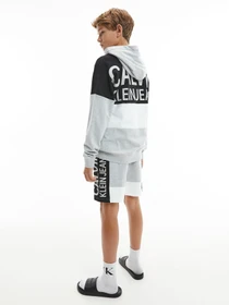 Худи и свитшоты Calvin Klein Colour Block Logo модель IB0IB00807-PZ2 Фото