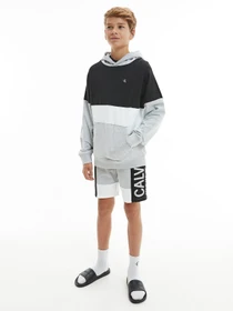 Худи и свитшоты Calvin Klein Colour Block Logo модель IB0IB00807-PZ2 Фото