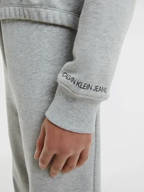Худи и свитшоты Calvin Klein Logo модель IG0IG00934-PZ2 Фото
