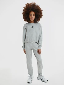 Худи и свитшоты Calvin Klein Logo модель IG0IG00934-PZ2 Фото