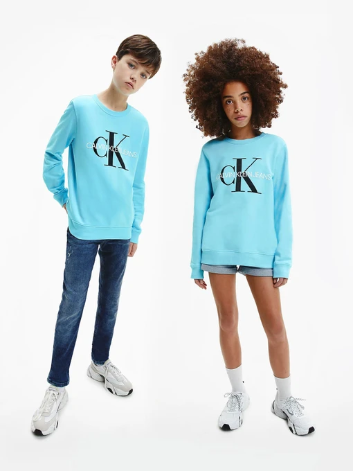 Худи и свитшоты Calvin Klein Monogram Logo модель IU0IU00069-CU4 Фото