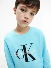 Худи и свитшоты Calvin Klein Monogram Logo модель IU0IU00069-CU4 Фото