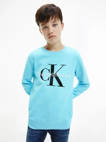 Худи и свитшоты Calvin Klein Monogram Logo модель IU0IU00069-CU4 Фото