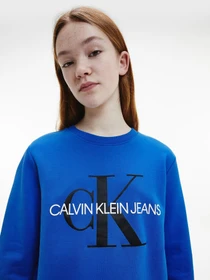 Худи и свитшоты Calvin Klein модель IU0IU00069-C66 Фото