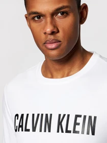 Худі та світшоти Calvin Klein модель 00GMS1K154-100 Фото