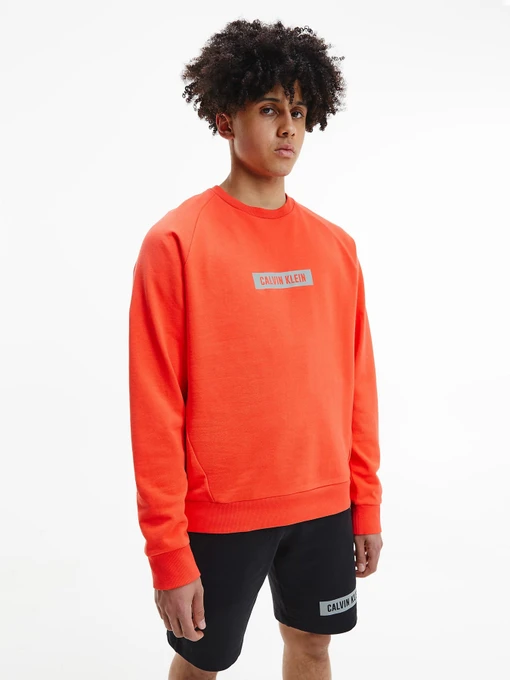 Худи и свитшоты Calvin Klein модель 00GMS1W360-610 Фото
