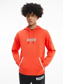 Худи и свитшоты Calvin Klein модель 00GMS1W361-610 Фото