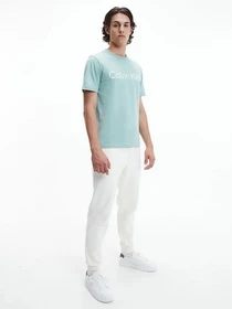 Кеды Calvin Klein модель HM0HM00479-YAF Фото