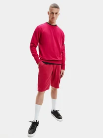 Кеды Calvin Klein модель YM0YM00029-BDS Фото