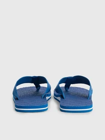 Шльопанці Calvin Klein Beach Sandal Webbing модель YM0YM00658-CGD Фото