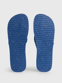 Шльопанці Calvin Klein Beach Sandal Webbing модель YM0YM00658-CGD Фото
