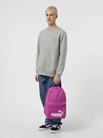 Рюкзаки PUMA PHASE 22L модель 09116405 Фото