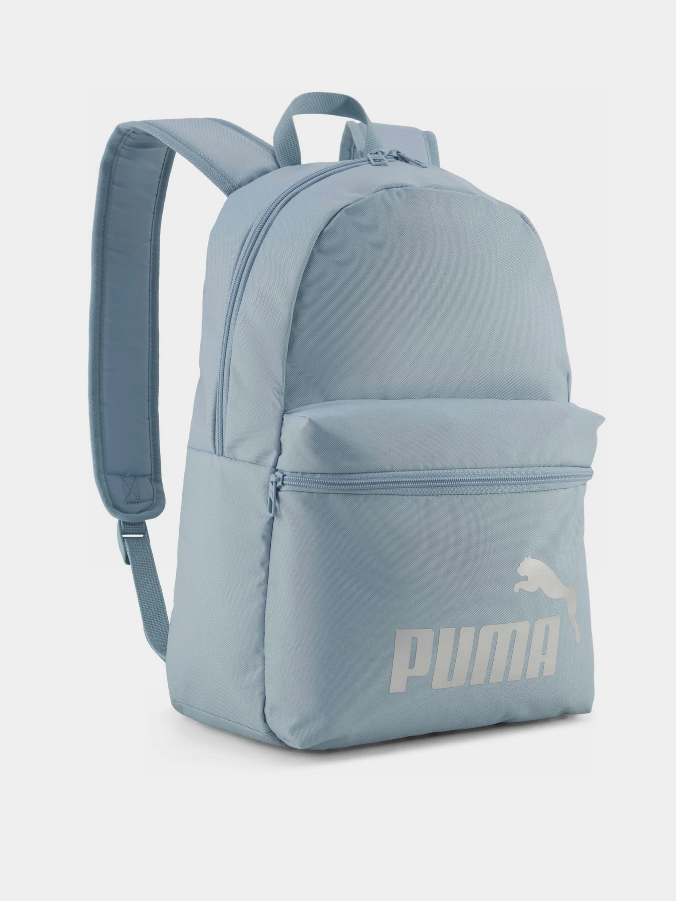 Рюкзаки PUMA PHASE 22L модель 09116433 Фото