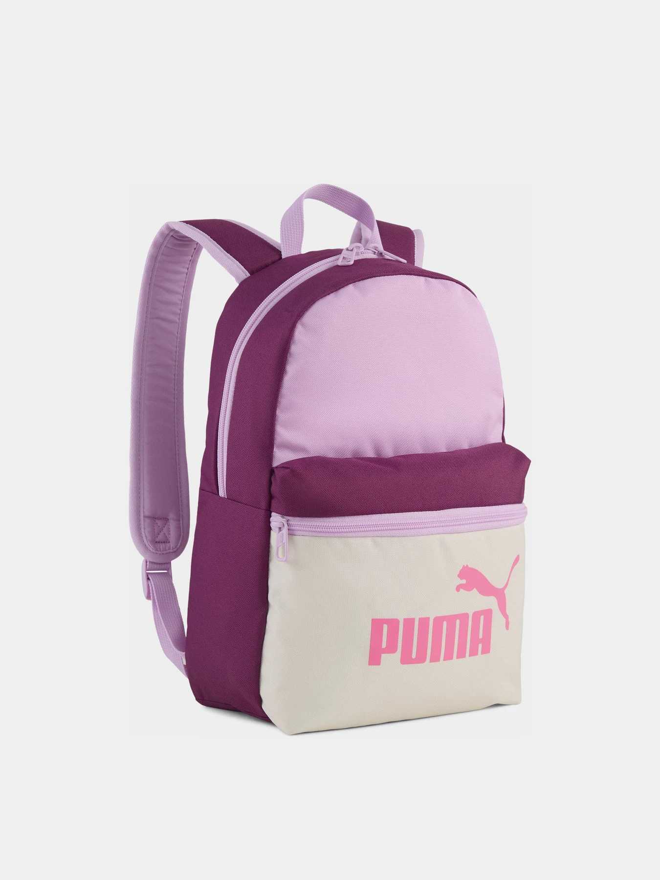 Рюкзаки PUMA PHASE CB SMALL 22L модель 09143907 Рюкзаки PUMA PHASE CB SMALL 22L модель 09143907 Фото