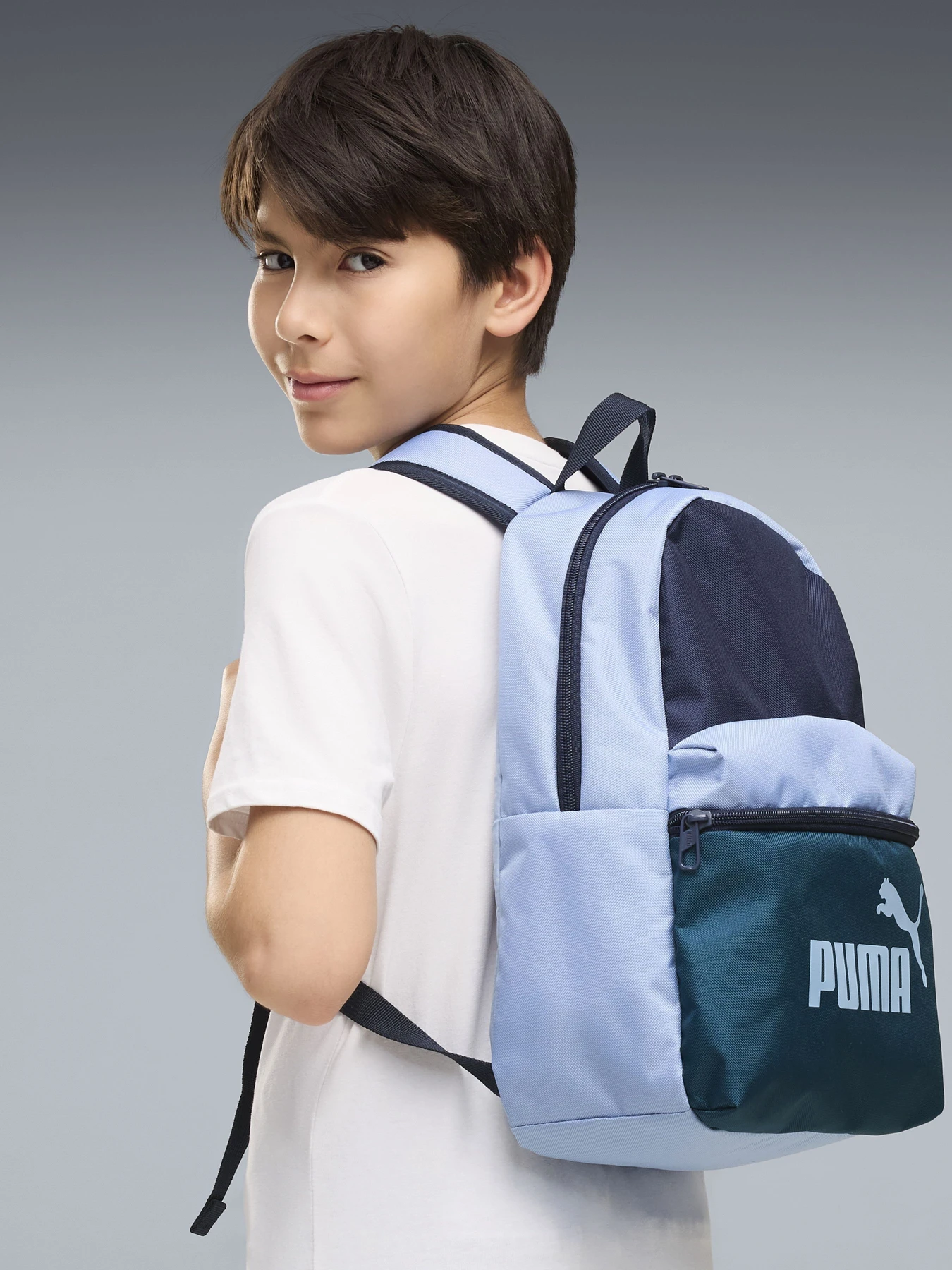 Рюкзаки PUMA PHASE CB SMALL 22L модель 09143908 Рюкзаки PUMA PHASE CB SMALL 22L модель 09143908 Фото