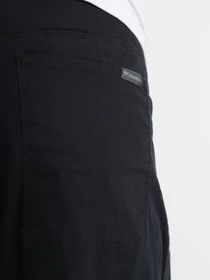 Брюки Columbia Flex ROC Lined Pant модель 1907631-010 Фото