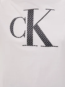 Футболки и поло Calvin Klein Jeans модель J20J215605_0K6 Фото