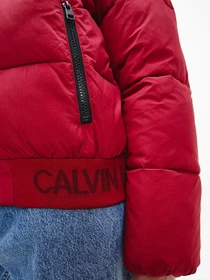 Куртки и дубленки Calvin Klein Jeans модель J20J216861_XKF Фото