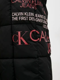 Куртки и дубленки Calvin Klein Jeans модель J20J217561_BEH Фото