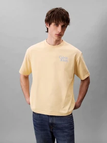 Футболки и поло Calvin Klein Jeans модель LV04RC808G-RM9 Фото