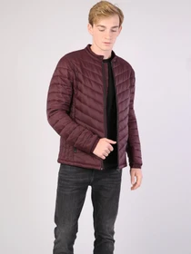 Куртки и дубленки Colin’s модель CL1041547BRD Фото
