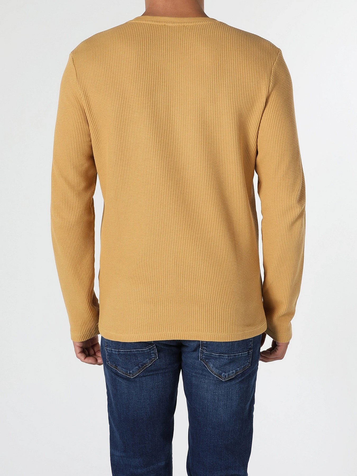 Свитры и кардиганы Colin’s модель CL1055237YLS Свитры и кардиганы Colin’s модель CL1055237YLS Фото