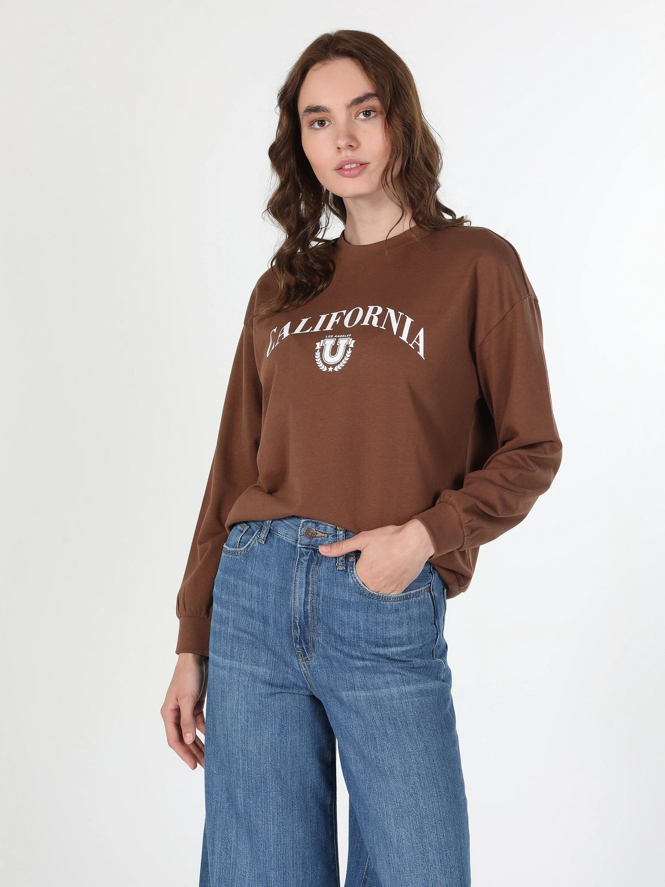 Худі та світшоти Colin’s модель CL1060315BRW Худі та світшоти Colin’s модель CL1060315BRW Фото