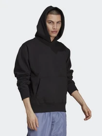 Худи и свитшоты Adidas Adicolor 3d Trefoil модель H11377 Фото