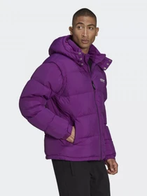 Куртки и дубленки Adidas ADVENTURE OPTIMUS модель H13575 Фото