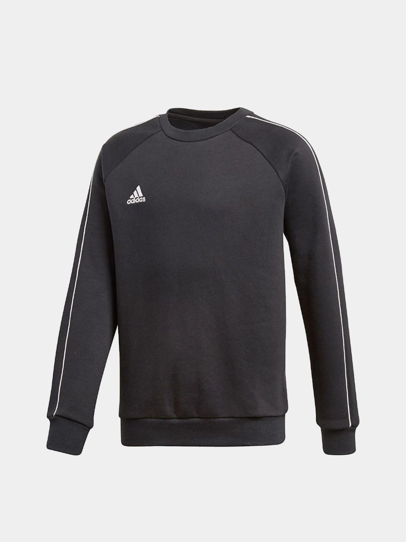 Худи и свитшоты Adidas Core 18 Performance модель CE9062 Фото