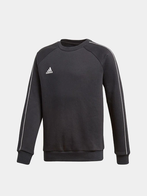 Худі та світшоти Adidas Core 18 Performance модель CE9062 Фото