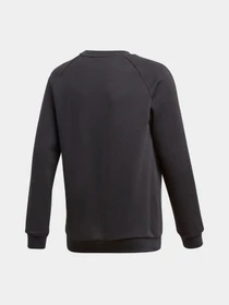 Худи и свитшоты Adidas Core 18 Performance модель CE9062 Фото