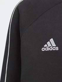 Худи и свитшоты Adidas Core 18 Performance модель CE9062 Фото
